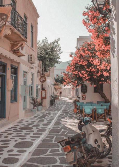 مناسبة